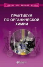 Практикум по органической химии - Теренин В.И. и др.
