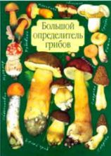 Большой определитель грибов. Юдин А.В.