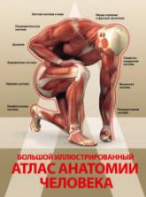 Большой иллюстрированный атлас анатомии человека. Спектор А.А.