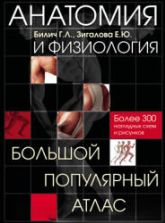 Анатомия и физиология. Большой популярный атлас. Билич Г.Л.